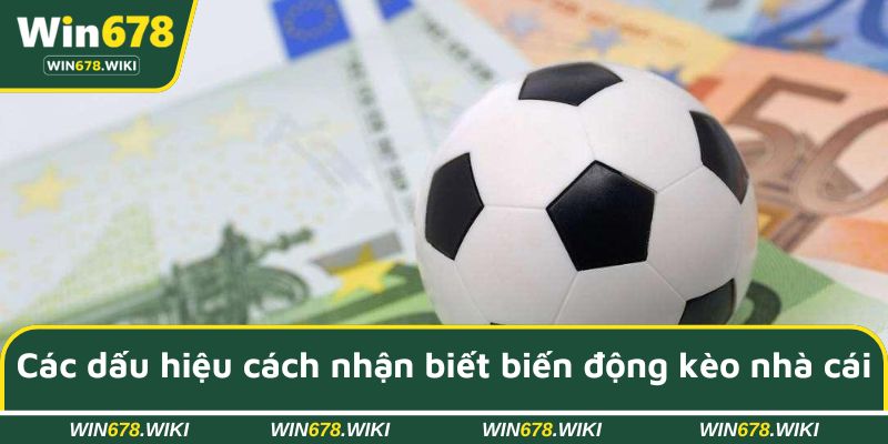 Các dấu hiệu rõ ràng cách nhận biết biến động kèo nhà cái