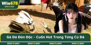 Gà đá đòn độc