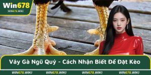 Vảy gà ngũ quỷ